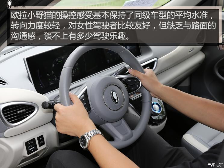 長(zhǎng)城汽車 歐拉白貓 2021款 小野貓