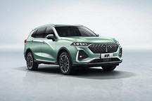 四屏联动 WEY拿铁部分配置信息曝光