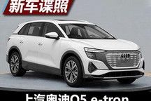年底见 上汽奥迪Q5 e-tron申报图曝光