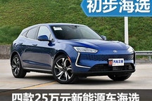 各個都是實(shí)力派 四款25萬新能源車海選