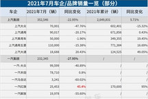 38家车企7月销量一览：多数表现好于6月，埃安、坦克等独立子品牌亮了