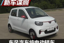小巧可爱 东风汽车纯电动轿车申报图