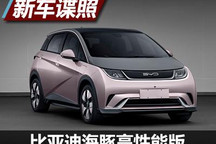 最大功率135kW 比亚迪海豚高性能版曝光