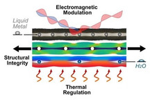 研究人员发明全新血管超材料 可经重新配置改变其热和电磁特性