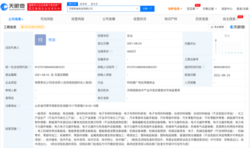 比亞迪，比亞迪,半導體，上市