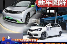 誰是年輕人的第一輛車？海豚對比LIFE