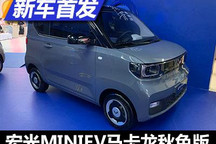 宏光MINIEV马卡龙秋色版车型正式亮相