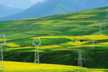 发改委：开展绿色电力交易试点 推动构建以新能源为主体的新型电力系统