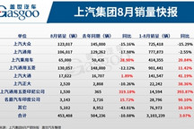 上汽集团8月销量下滑10%，新能源汽车激增171%