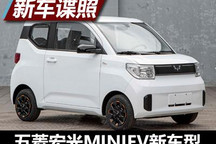 专属标识 五菱宏光MINIEV新车型申报图