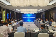 明年实现500万辆？新能源发展再提速