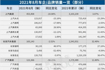 29家车企8月销量一览：下滑者居多，都怪芯片不够用？
