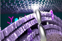 加州大学洛杉矶分校在细菌中加入银 使微生物燃料电池的功率超过以往两倍