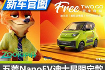 天津车展上市 五菱NanoEV限定版官图