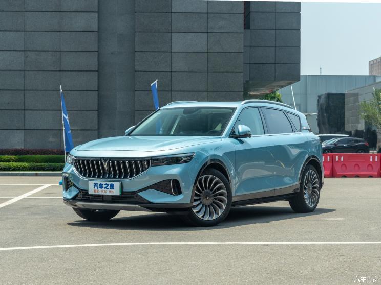 嵐圖汽車 嵐圖FREE 2022款 兩驅(qū)純電城市版
