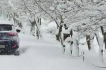 不经一番寒彻骨，怎得梅花扑鼻香