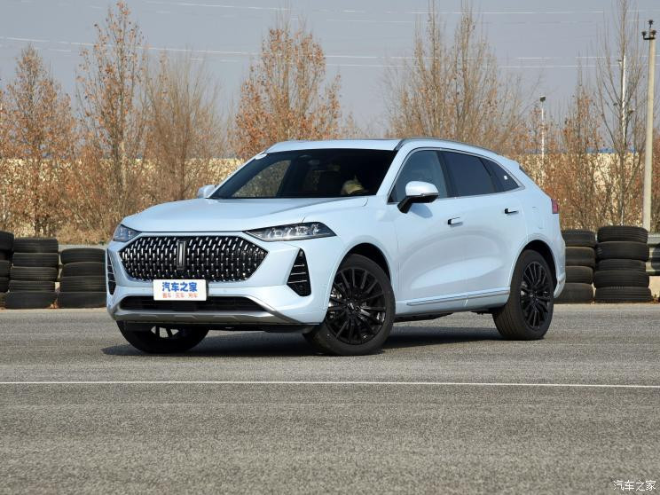 長(zhǎng)城汽車 摩卡DHT-PHEV 2021款 DHT-PHEV 基本型