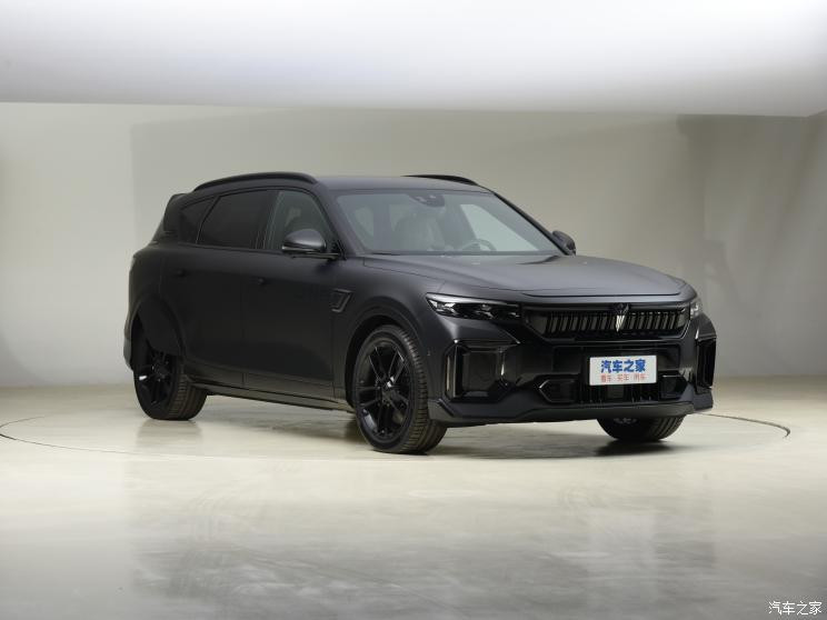 嵐圖汽車 嵐圖FREE 2022款 DNA聯(lián)名 純電版