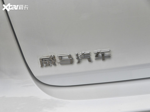 威马汽车2020款威马EX5