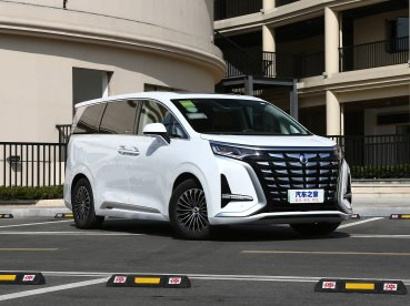 騰勢(shì)汽車 騰勢(shì)D9 2022款 DM-i 970 四驅(qū)尊榮型