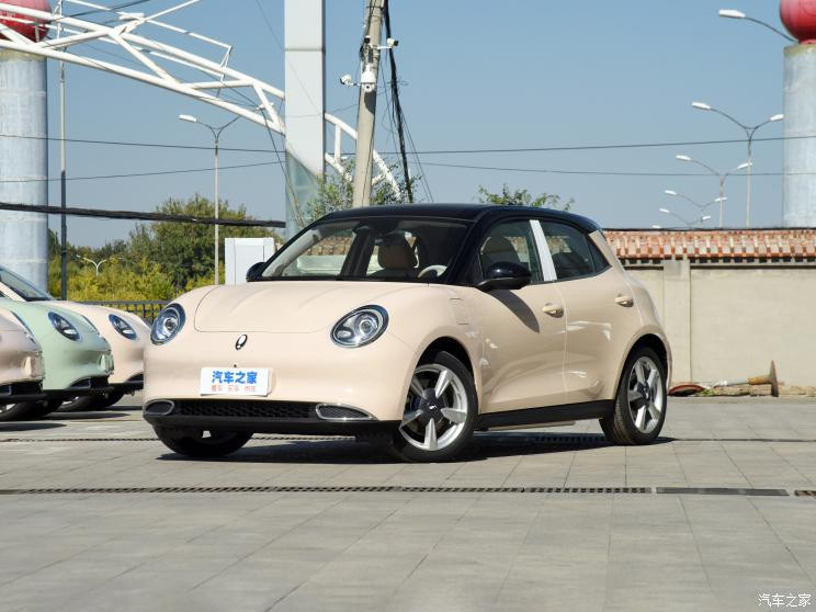 長城汽車 歐拉好貓 2022款 莫蘭迪版 400km標準續(xù)航 尊貴型 三元鋰
