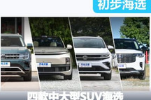 面子里子都不落 四款中大型SUV初步海選