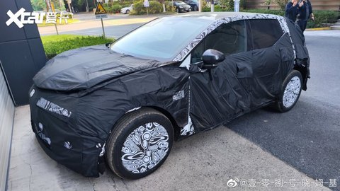 极氪BX1E