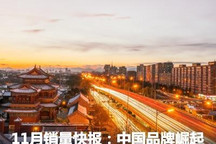 11月销量快报：日系疲软/中国品牌崛起