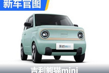 双门四座微型电动车 吉利熊猫mini官图