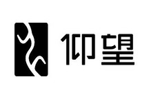 比亚迪高端汽车品牌仰望LOGO标识公布