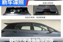 申报信息曝光 比亚迪海豚将推运动版？