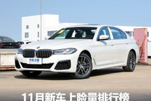 图观车市|11月新车上险量排行榜及解读