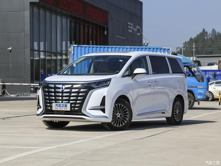 騰勢(shì)汽車 騰勢(shì)D9 2022款 DM-i 1040 尊貴型