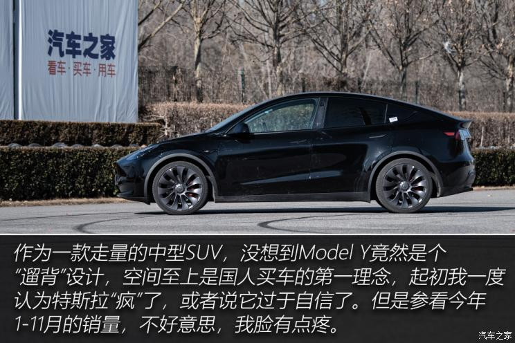 特斯拉中国 Model Y 2021款 Performance高性能全轮驱动版