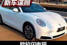 轿跑风格设计 欧拉闪电猫申报图曝光
