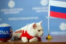 【一周车话】又是被惊掉下巴的一周