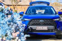 卡罗拉 锐放全国经销店陆续发布，“放”家族再添虎将