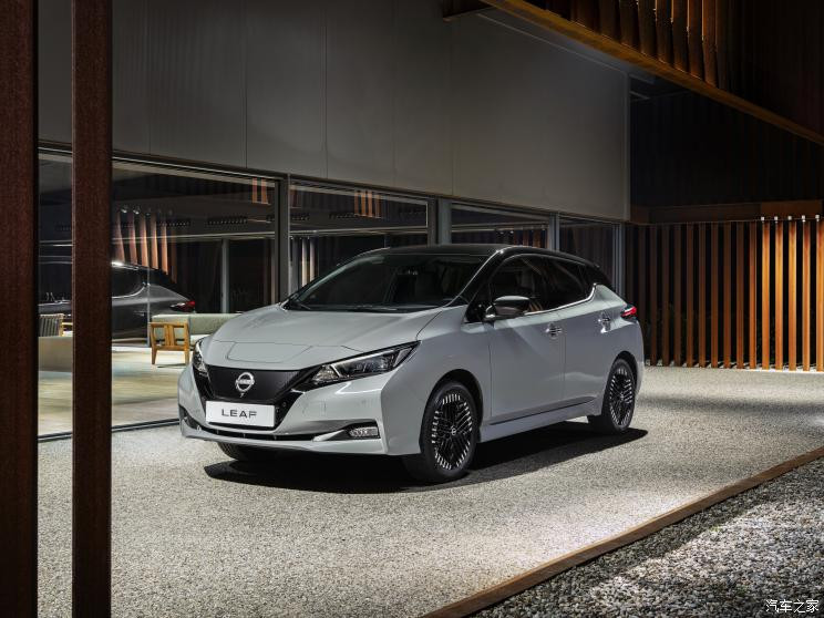 日產(chǎn)(進口) 聆風(fēng) 2022款 歐洲版