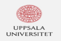 乌普萨拉大学：利用辐射散射技术确定锂硫电池性能瓶颈