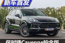 专属车漆 保时捷Cayenne铂金版实车亮相