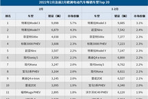 欧洲2月电动车市：市场份额增至20%，Model 3/Y荣登畅销榜首