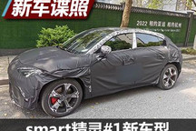 配巴博斯套件 smart精灵#1溜背版谍照