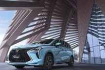 风行游艇：“见证”风行转变的力量