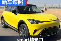 预售19万起 smart精灵#1申报图曝光