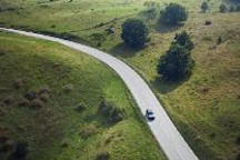 感受北欧呼吸，沃尔沃汽车先进空气净化技术打造健康座舱