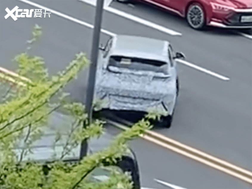 比亞迪海鷗