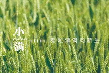 律谈 | 企业不得不知的外包项目合规审查要点——从奥迪小满广告外包翻车一事说起