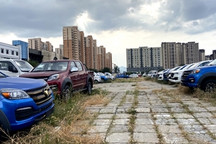 促销费政策组合拳发布 车市增量有望超百万