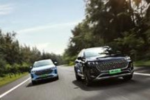 logo至上？魏牌对看标的时代说不