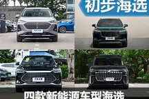省錢不焦慮 四款增程/插混車型海選
